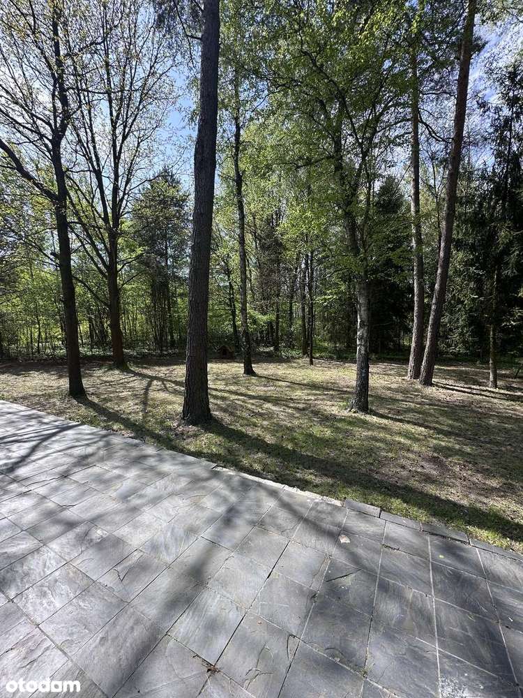 Dom 180m2 na uroczej działce 3880m2 w okol. Łasku-3