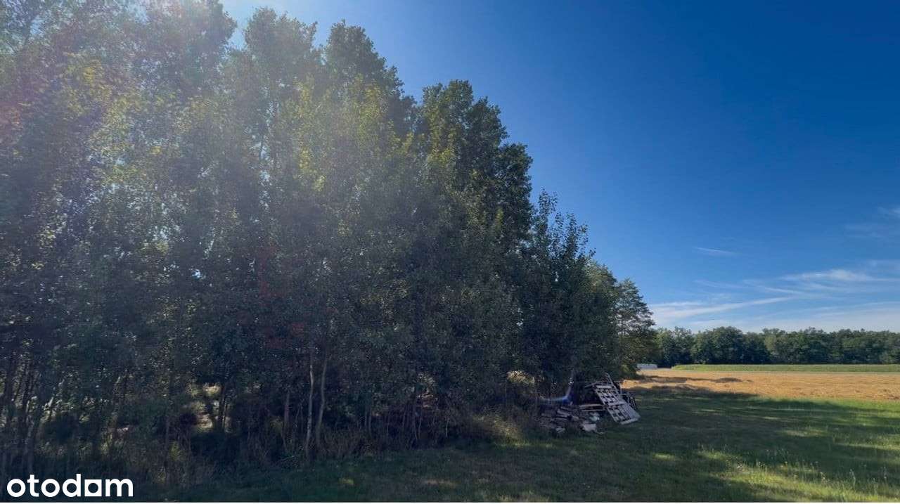 Dom na sprzedaż, 167 m², 5 pokoi Zambrów Grabówka-1