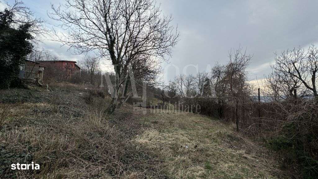 Teren intravilan pentru constructii de vanzare in Baciu - Imagine principală: 3/5