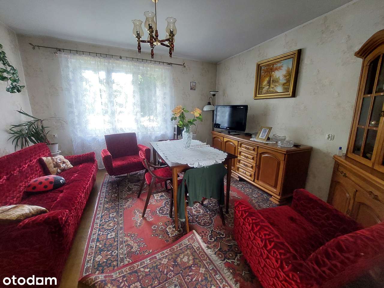 małe gospodarstwo ,Pniewy, Lwówek-13