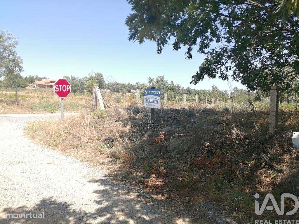 Terreno em Sabugal e Aldeia de Santo António de 56170,00 m2 - Grande imagem: 4/24