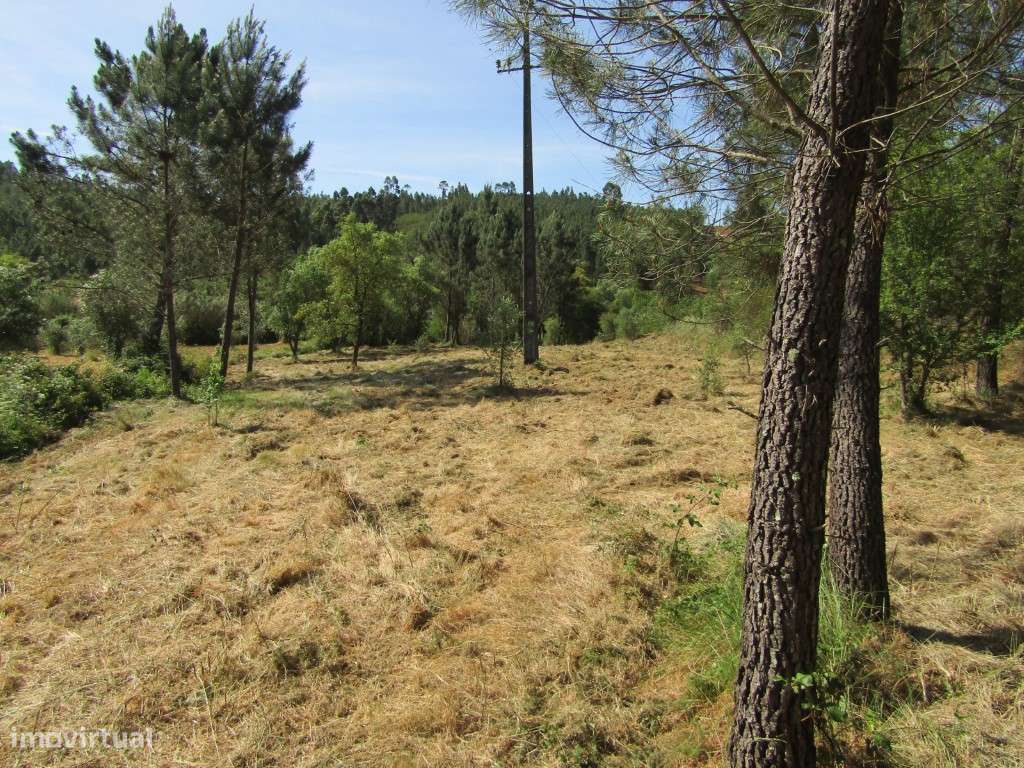 P26-238 Casal da Loba - Terreno Urbanizável no Centro de Portugal e...-14