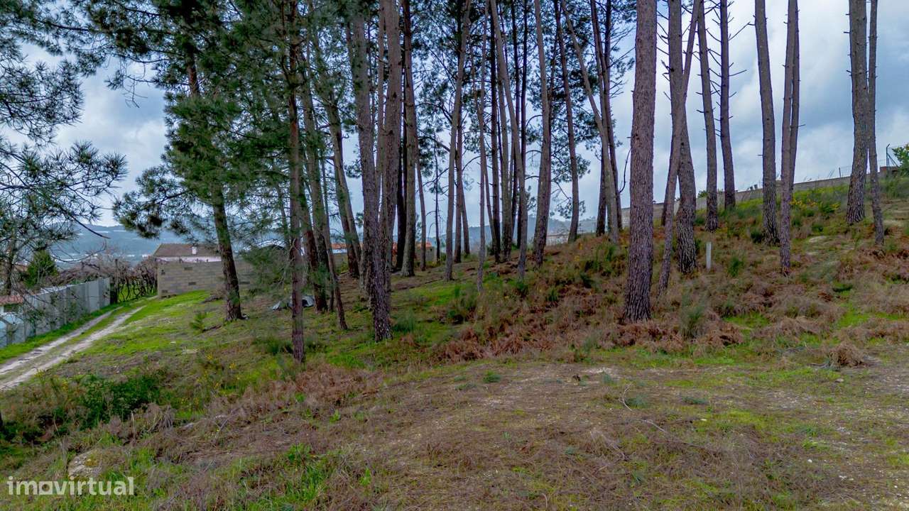 Terreno de Construção na rua Lamas de Couto, Fregim, Amarante-22
