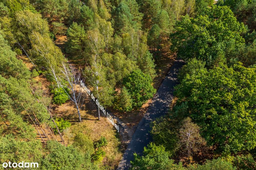 Działka rekreacyjna Sianno graniczy z Kampinosem - Pełny obrazek: 2/19