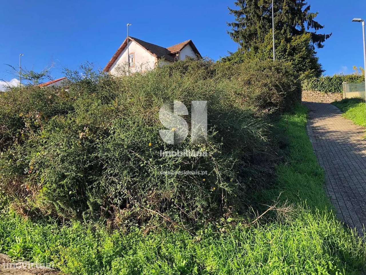 Terreno em Sabrosa - Grande imagem: 4/16