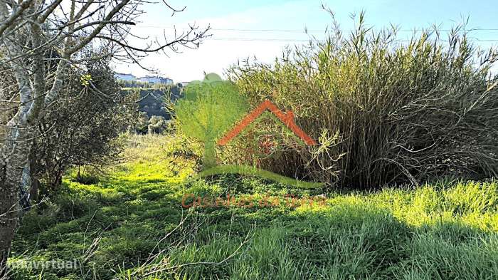 Terreno urbano para construção de 4 moradias-11