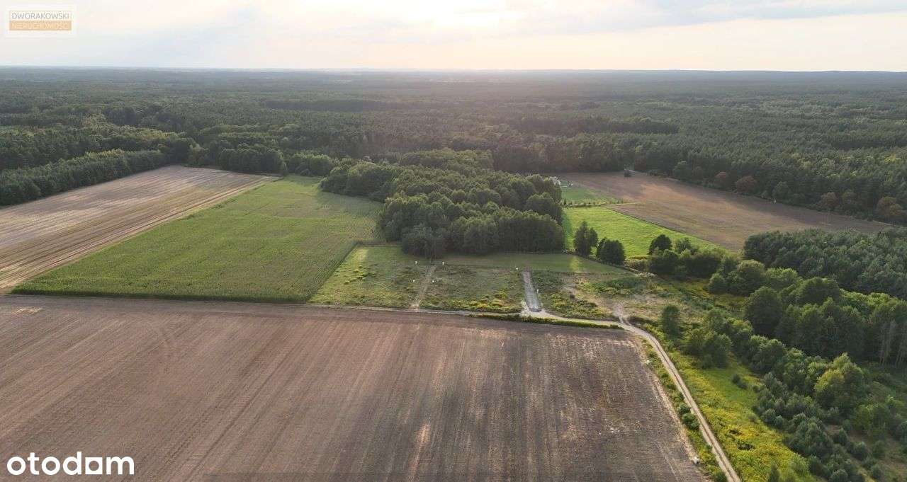 Działka do zabudowy budowlanej w leśnej otulinie - Pełny obrazek: 5/11