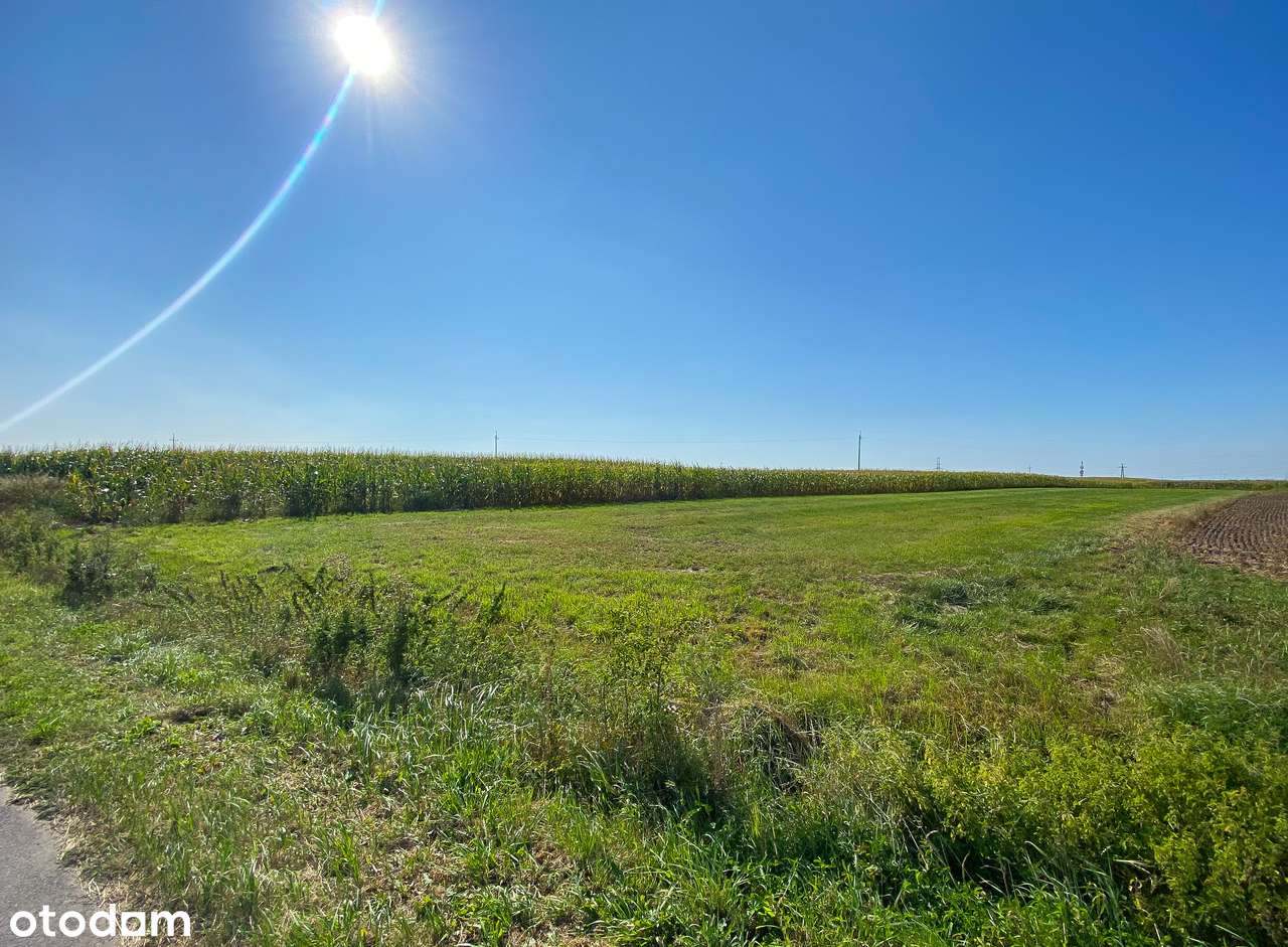 Działka budowlana pod Kościanem na sprzedaż - Pełny obrazek: 5/11