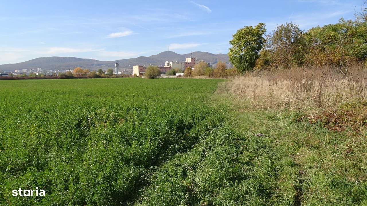 Vand teren intravilan in Deva suprafata totala 43 000 mp - Imagine principală: 3/8