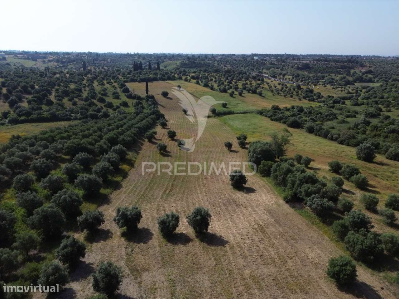Terreno Rústico - Parceiros de Igreja, Torres Novas - Grande imagem: 3/22
