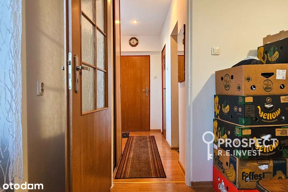 Mieszkanie, 2 pokoje, Zabrze + Ogródek i garaż!-5