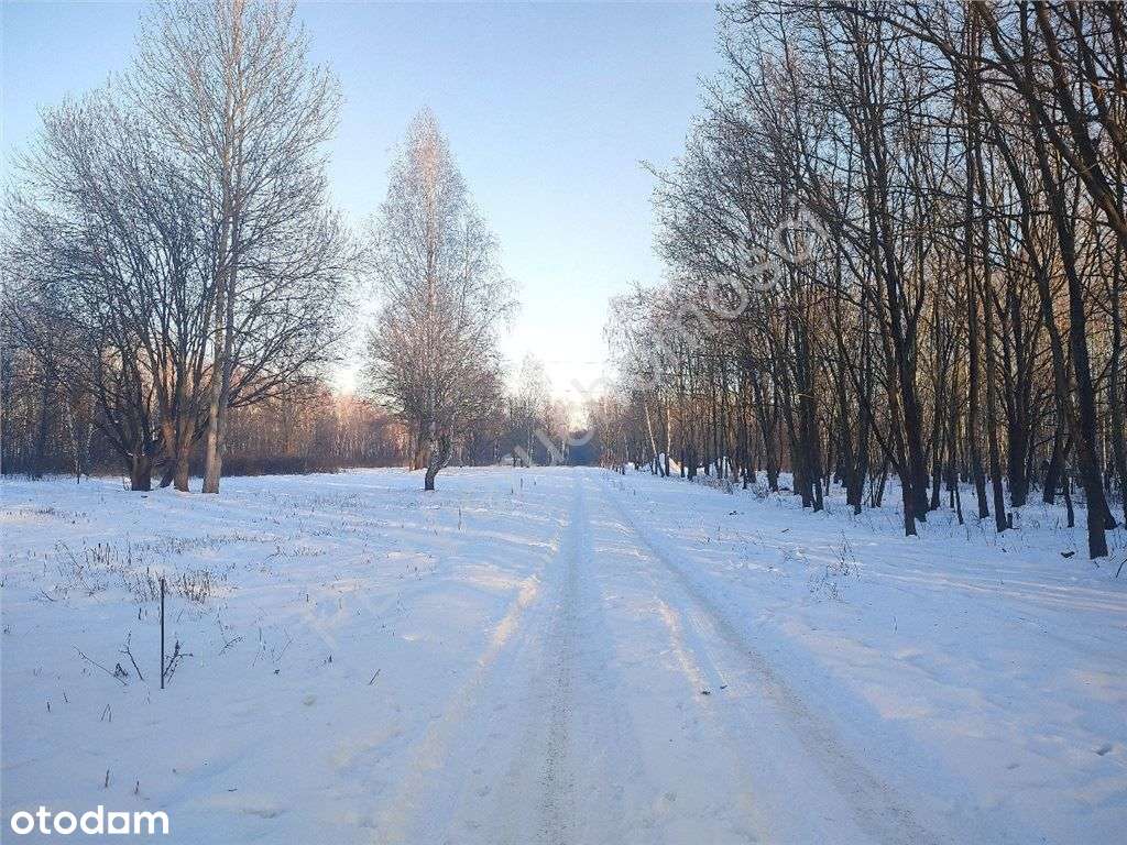 Działka w zielonym Milanówku 1 km od Pkp-3