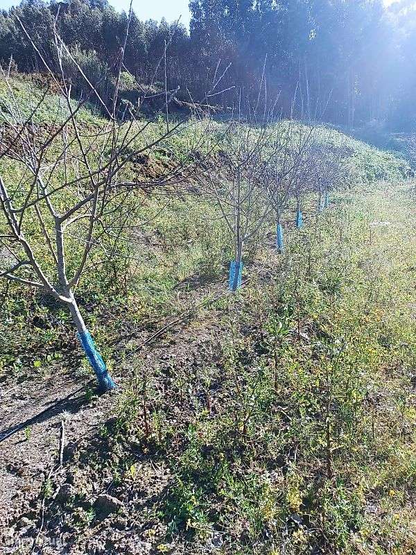 Terreno  para venda - Grande imagem: 4/9