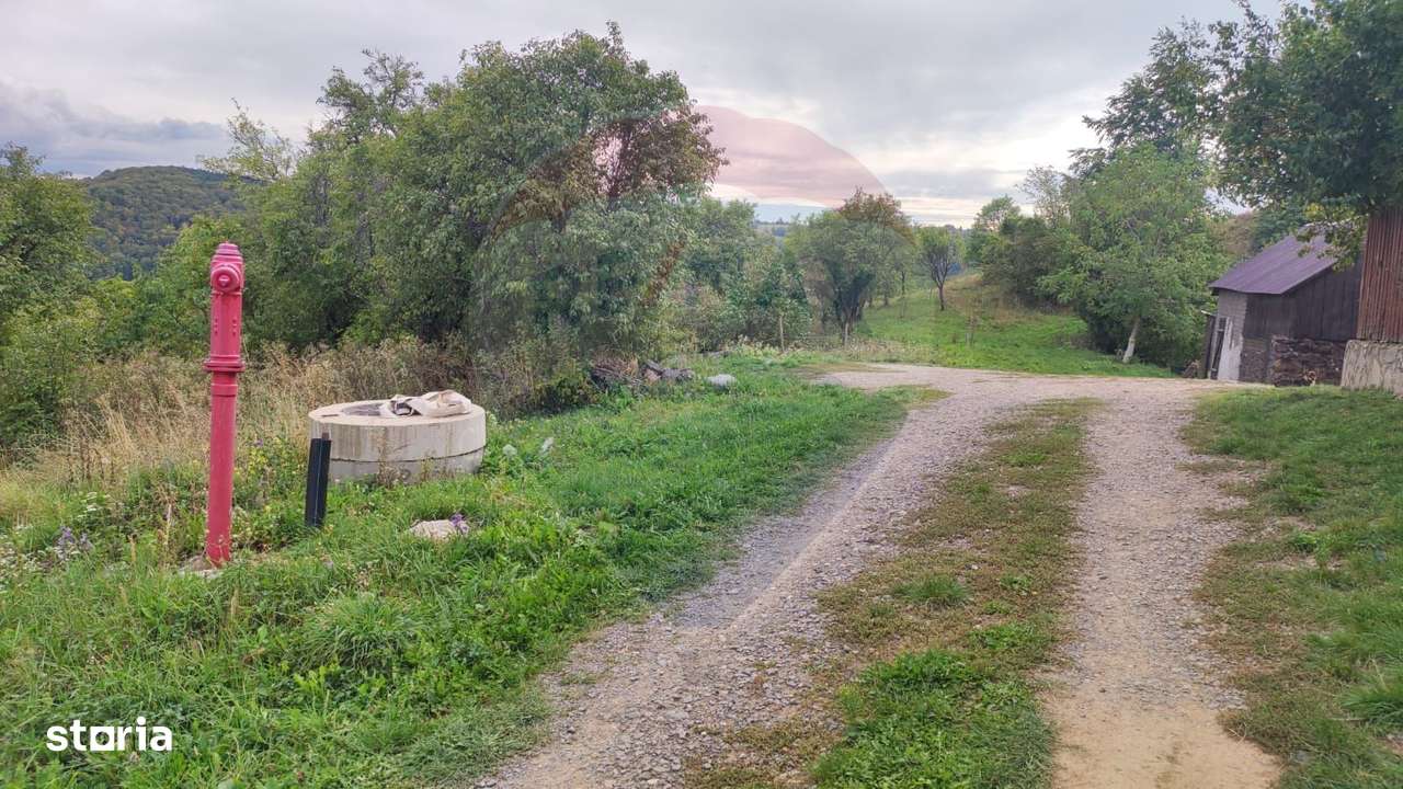 Teren constructii si faneata/livada 3082 mp Damis Bratca drum DJ 764D - Imagine principală: 2/20