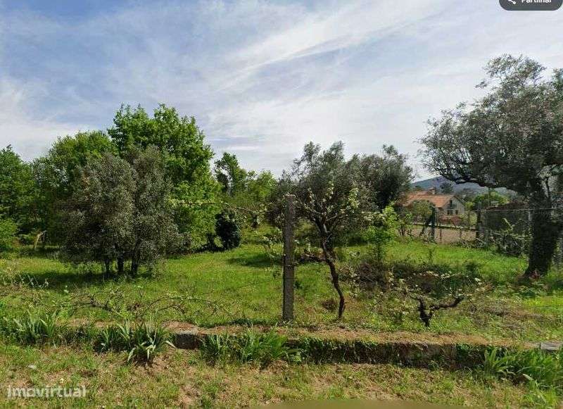 Vende-se Quinta com 7 hectares com localização privilegiada. - Grande imagem: 4/11