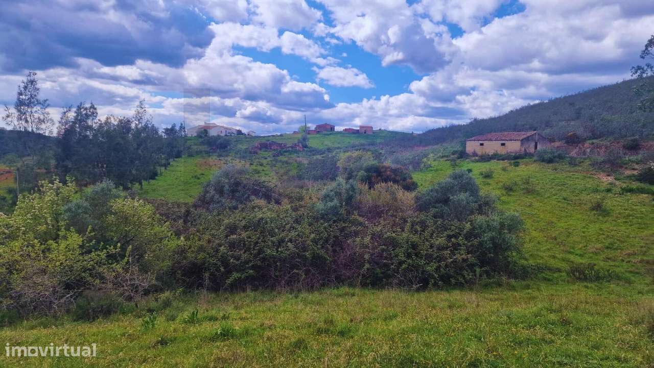 Terreno com Ruina -  S. Bartolomeu de Messines - Grande imagem: 2/15