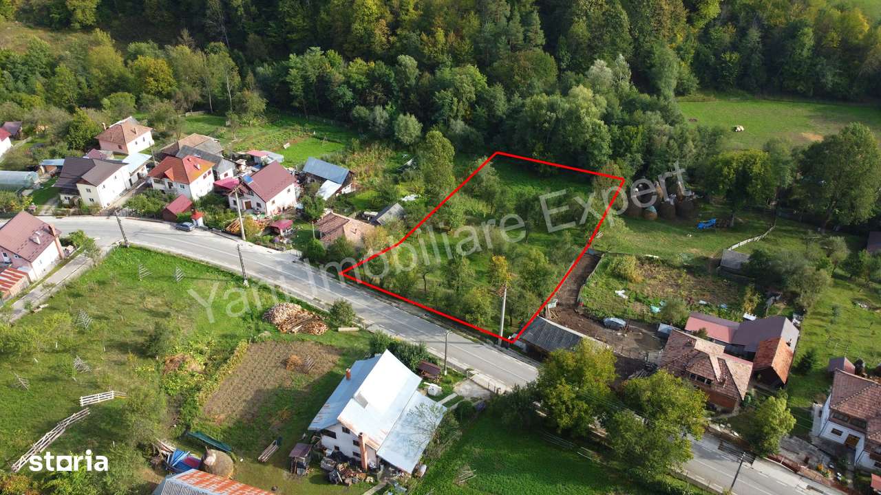 Teren de vânzare în comuna Arefu, județ Argeș.-4