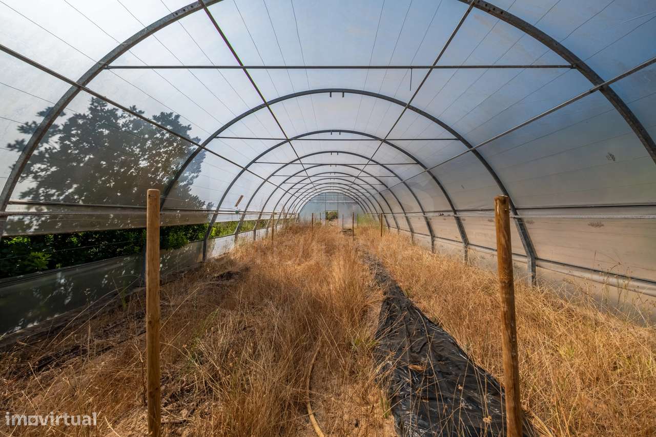 Terreno Agrícola na Fanadia | 16.100 m² de Potencial e Infraestrutu...-27