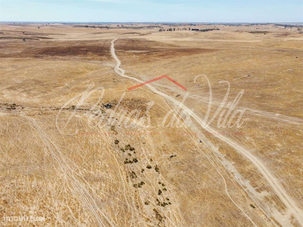 Propriédade de 119ha com varias ruinas - Castro Verde-42