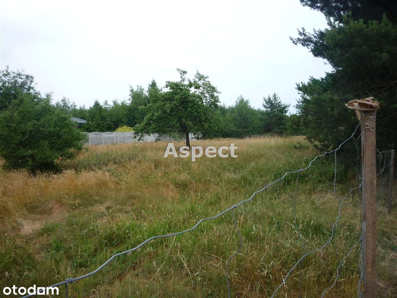 Działka rekreacyjna. - Pełny obrazek: 5/7
