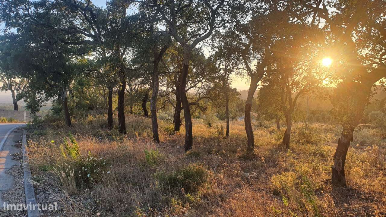 Terreno para Moradia com vista para a Serra D'Aire e Candeeiros-22