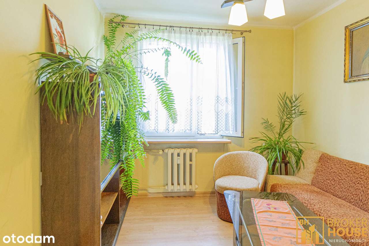 Mieszkanie dwa pokoje w  zielonej okolicy-7