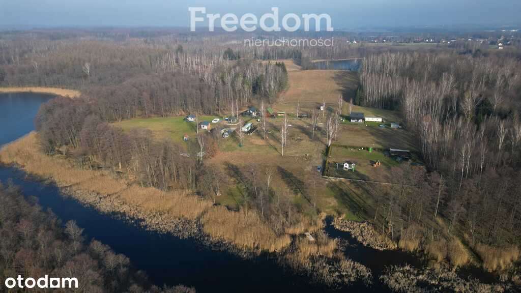 Mazury działka rekreacyjna z linią brzegową - Pełny obrazek: 4/11