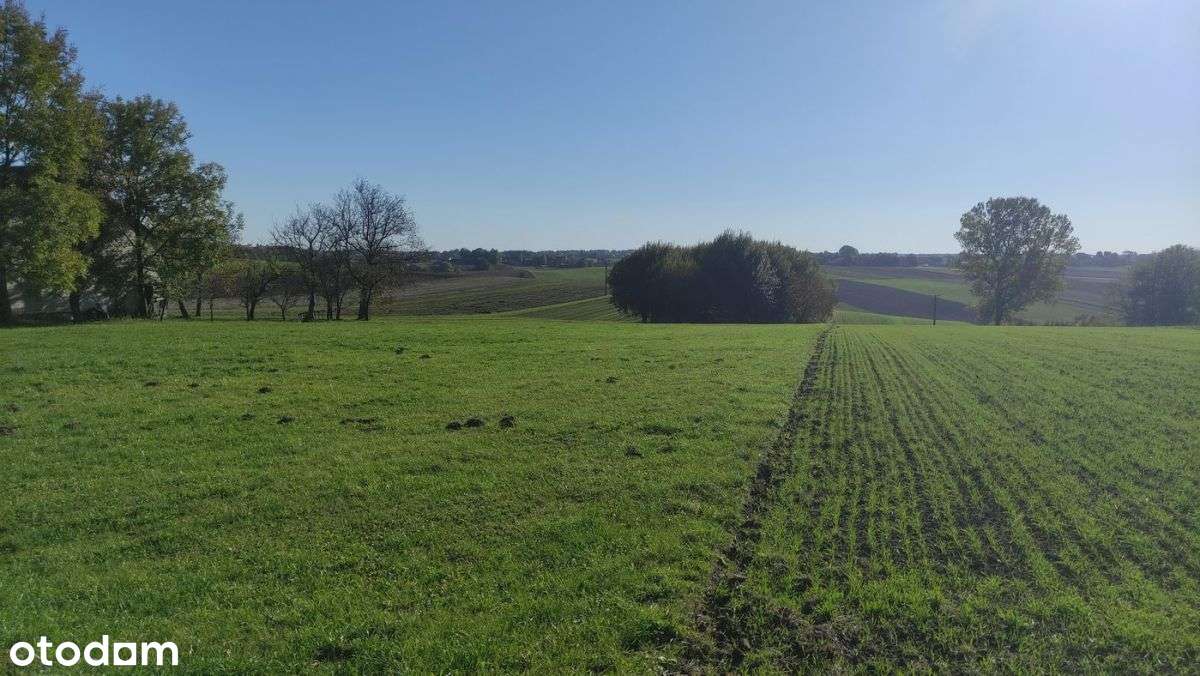 Działka w Tarnawie - Pełny obrazek: 4/11