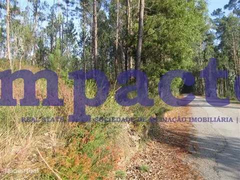 Terreno em Pigeiros, Santa Maria da Feira - Grande imagem: 3/8