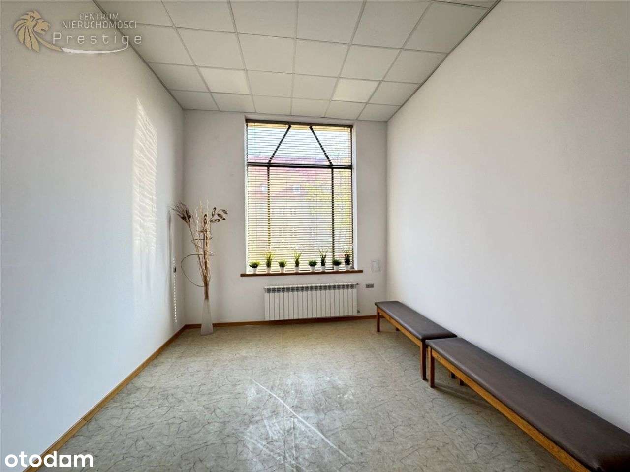 Bytom lokal do wynajęcia 9 gabinetów + - Pełny obrazek: 5/18