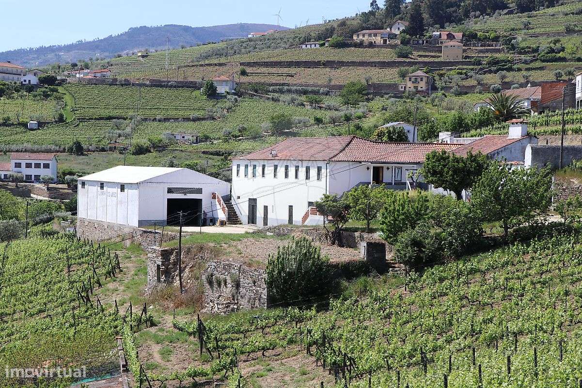 Quinta T4 para venda - Grande imagem: 4/50