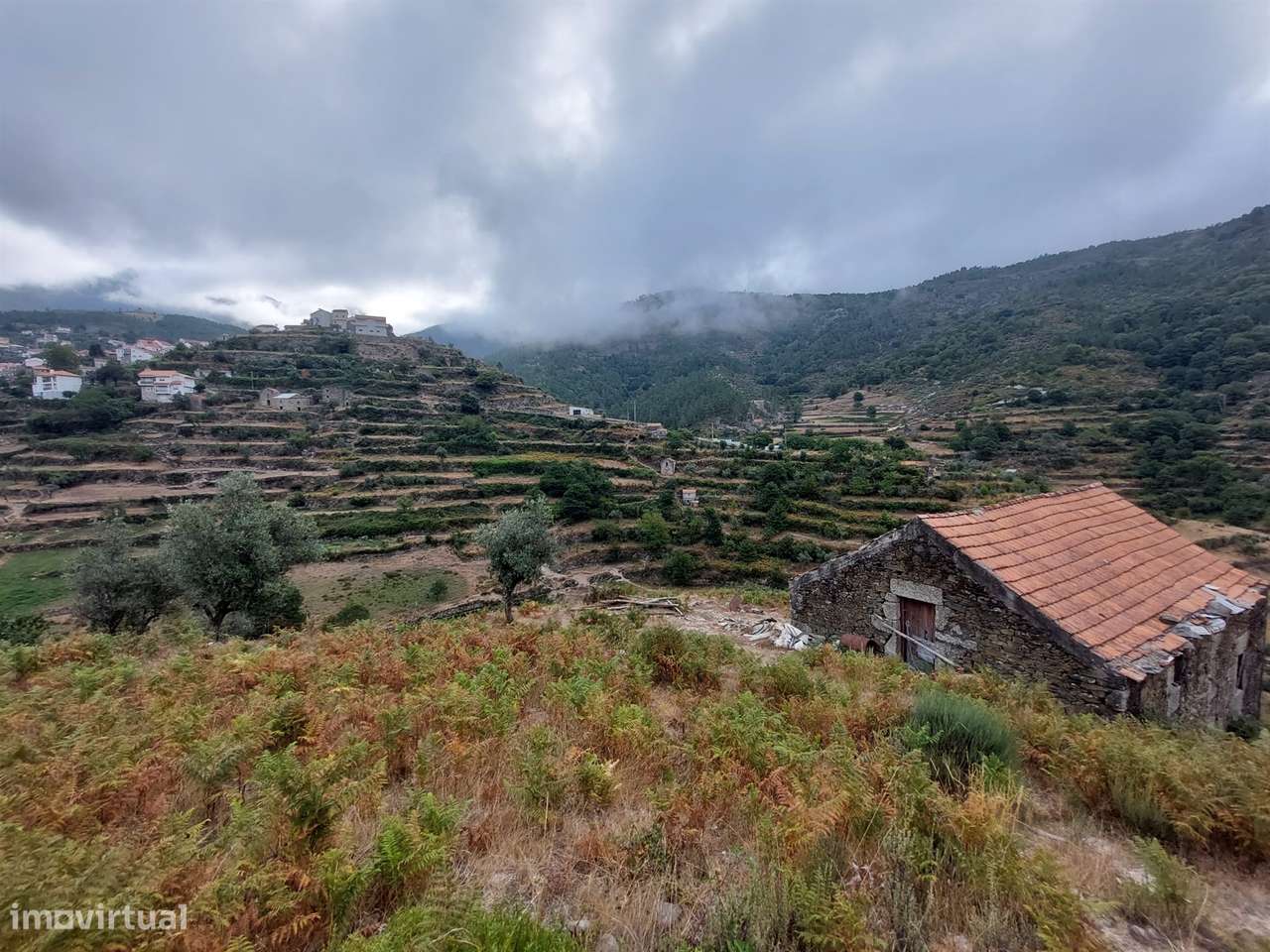 Quinta  Venda em Loriga,Seia - Grande imagem: 5/24