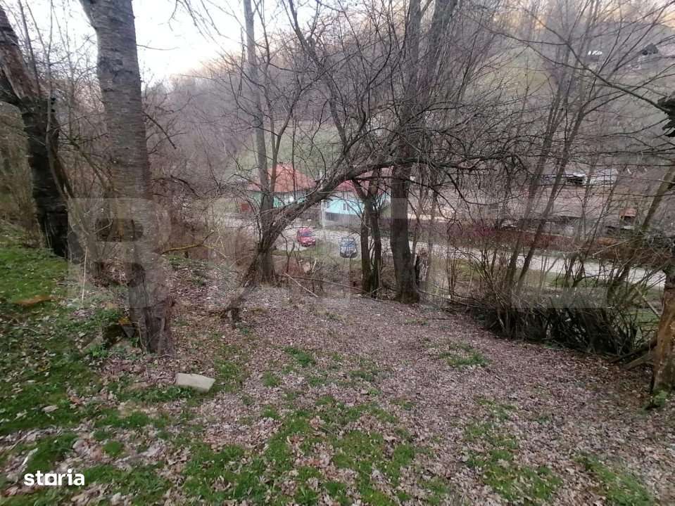 Teren intravilan 2900 mp in Zona Presaca Ampoiului - Imagine principală: 2/4