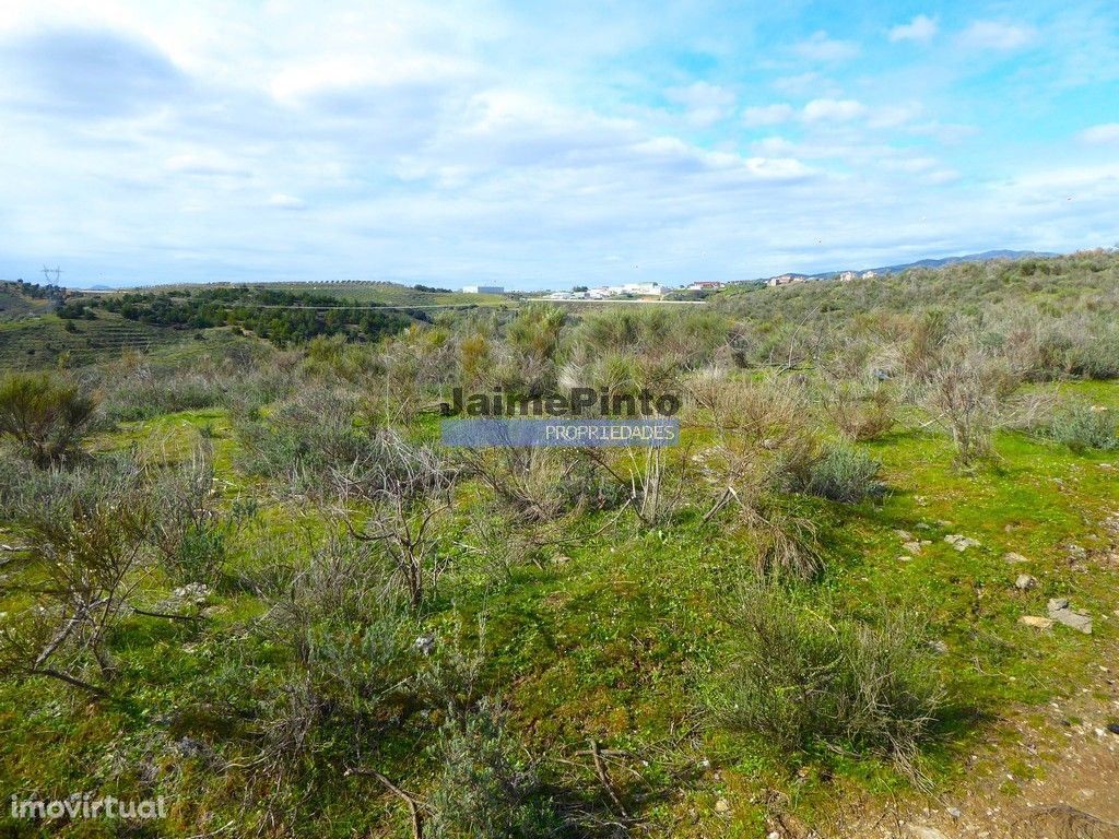 6,5ha de montanha para construção Casa de Campo e Plantações. Trás-...