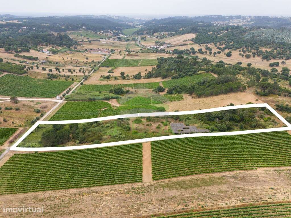 Terreno com 15.840m2 em Aveiras de Cima-7