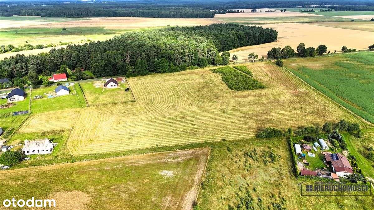 50 km od Morza Bałtyckiego, Sadkowo, tania działka-13