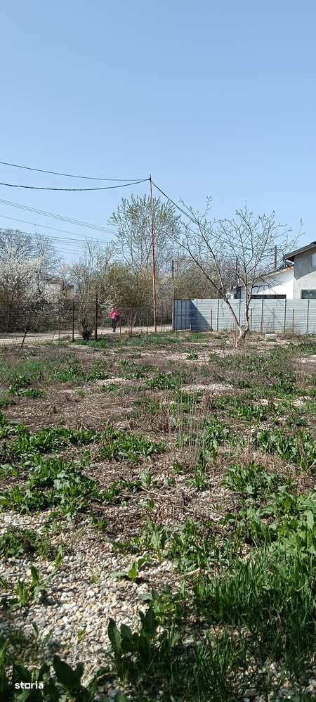 Teren intravilan/pădurea Andronache - Imagine principală: 4/4