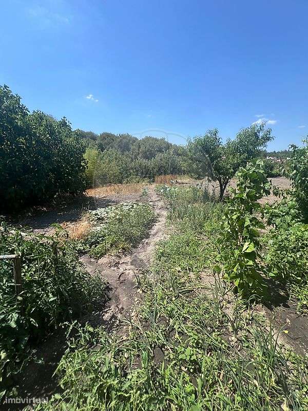 Moradia T3 para venda - Grande imagem: 3/6