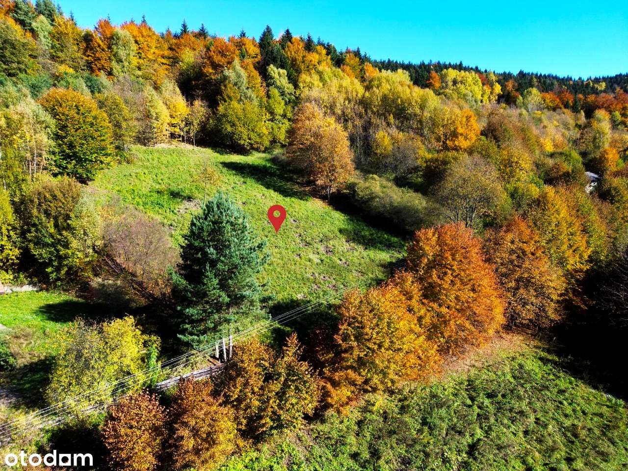 Widokowa działka z własnym lasem! - pod dom, domek weekendowy, domki-14