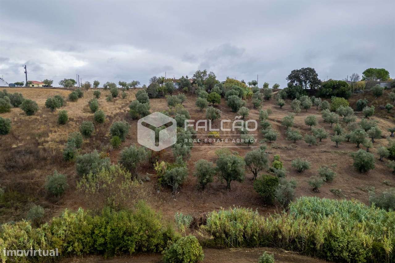 Moradia para Restaurar T2+2 Venda em Casével e Vaqueiros,Santarém-10