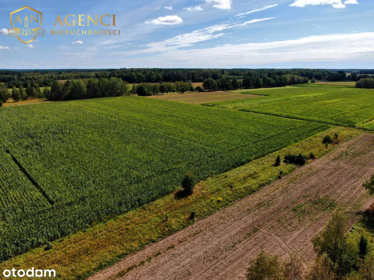 * Warunki zabudowy * 9 działek * Skrybicze* - Pełny obrazek: 5/5