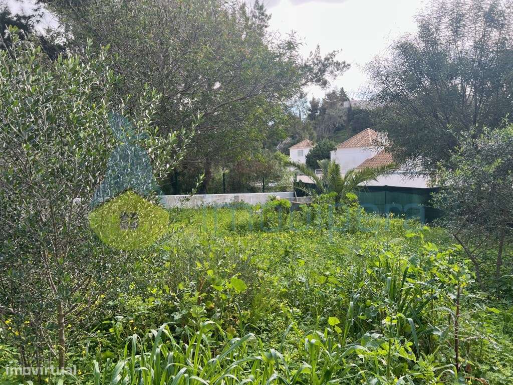 LOTE EXCLUSIVO PARA MORADIA DE SONHO COM PISCINA NA QUINTA DOS BARR...-8