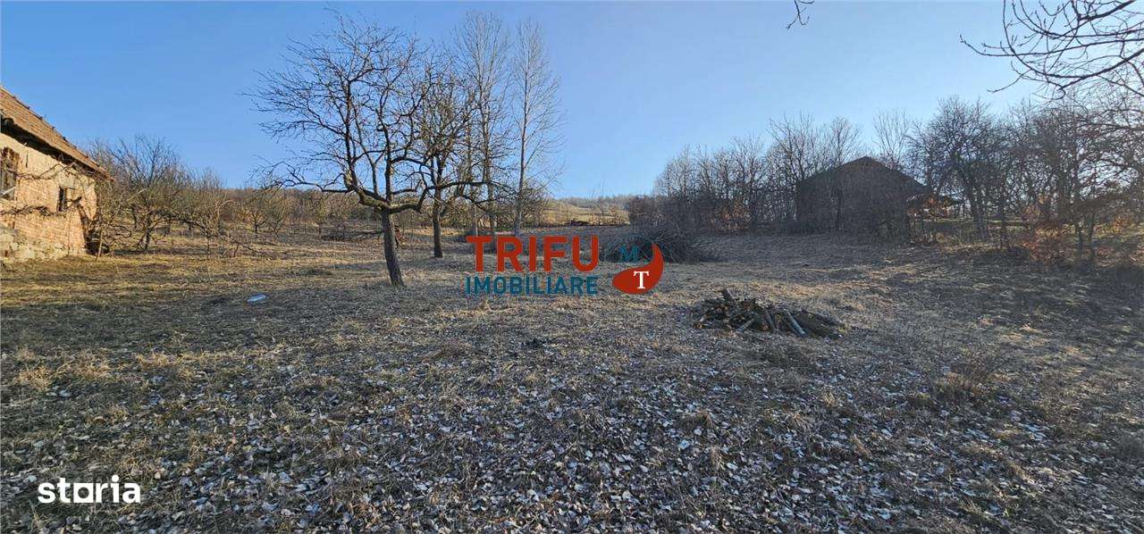 Teren intravilan de vanzare in Ampoita 1365 mp - Imagine principală: 1/3