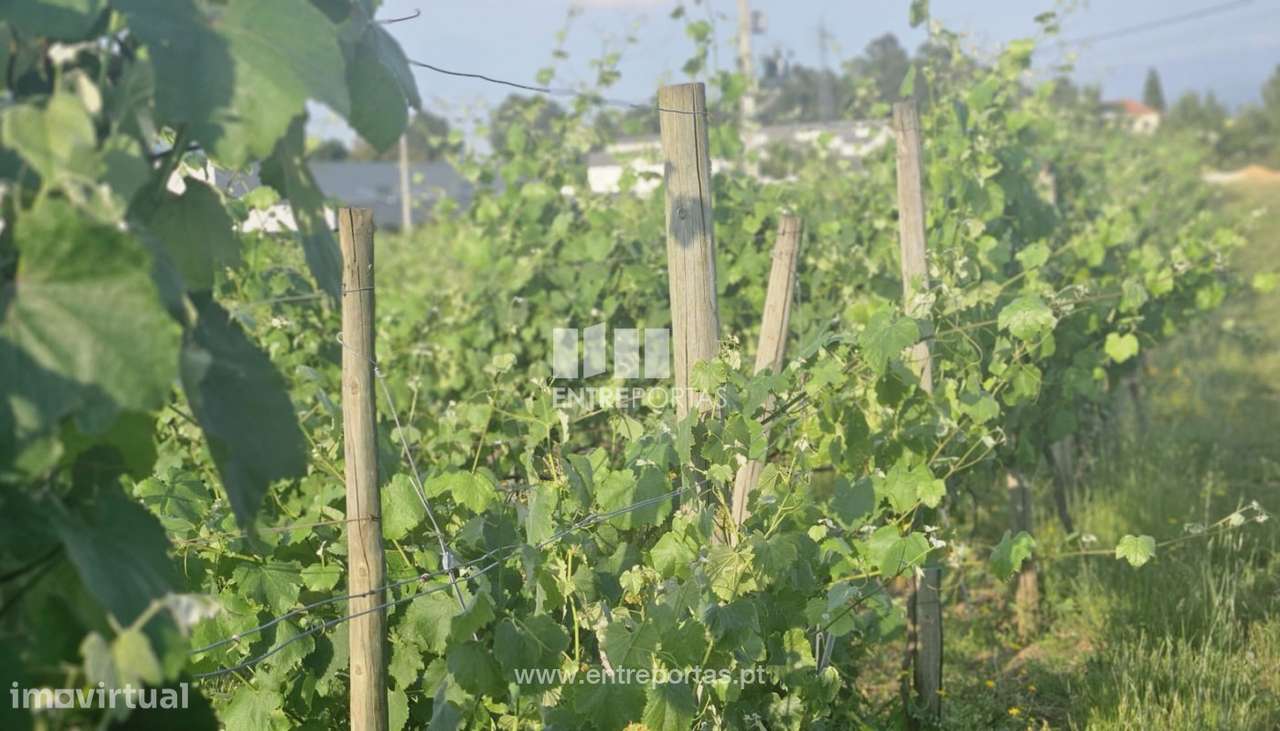 Terreno de construção para venda, Mazedo, Monção - Grande imagem: 5/12