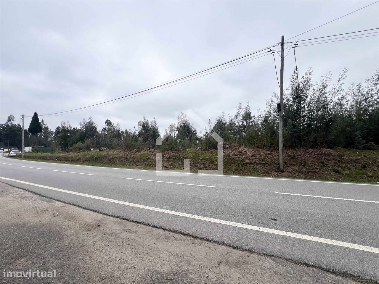 Terreno 18.260m2 - Canedo - Grande imagem: 5/6