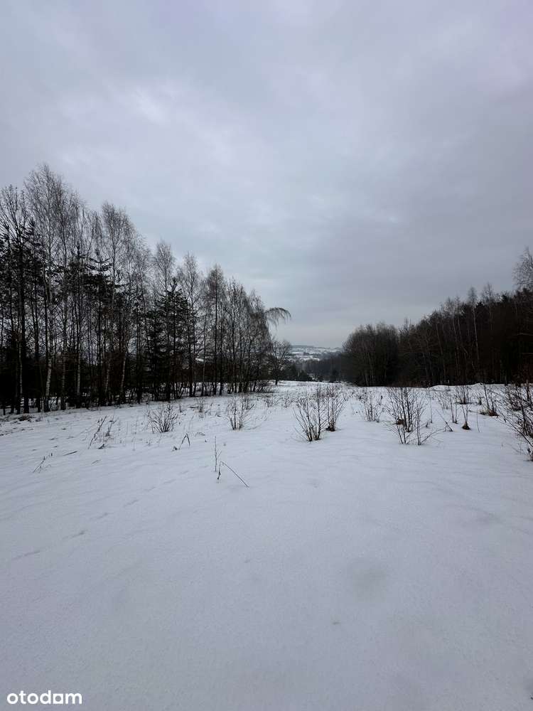 Duża działka pod lasem - Łazany blisko Wieliczki i Gdowa-12