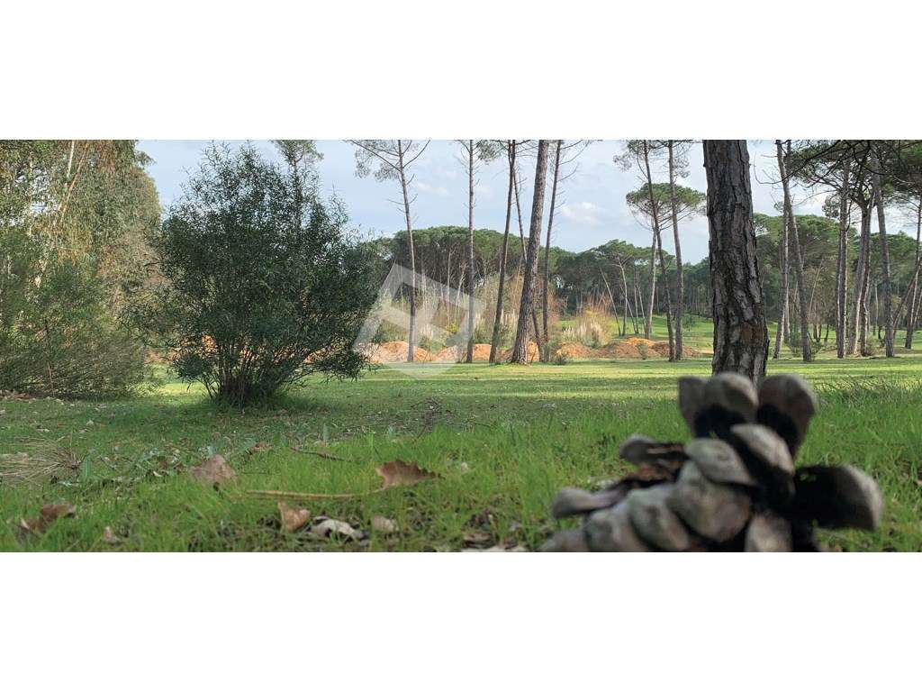 Apartamento T0+1 Oiã- Oliveira do Bairro-21