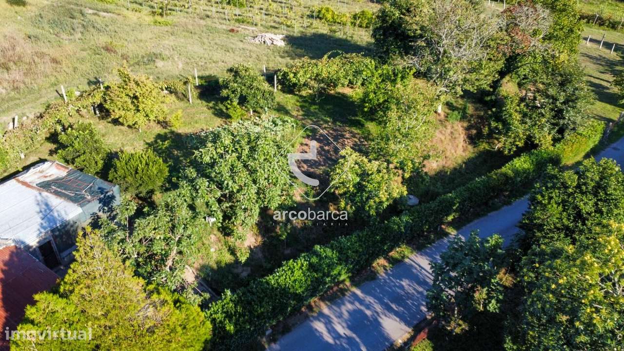 Quintinha com Potencial para Recuperação junto à Vila-25