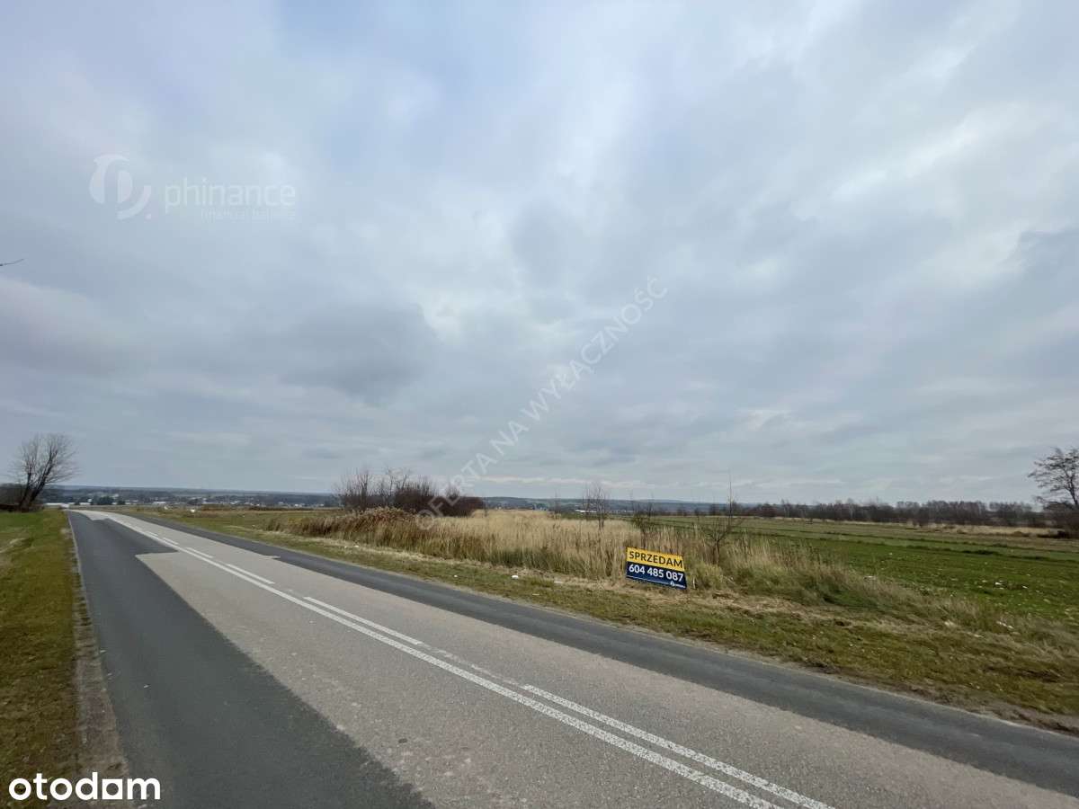 Działka rolna lub pod inwestycję 8790 m² - Pełny obrazek: 4/4