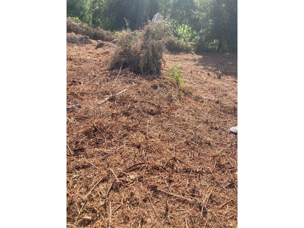 Moradia para Recuperar com Terreno de 800m² - Brandara, Ponte de Lima-4